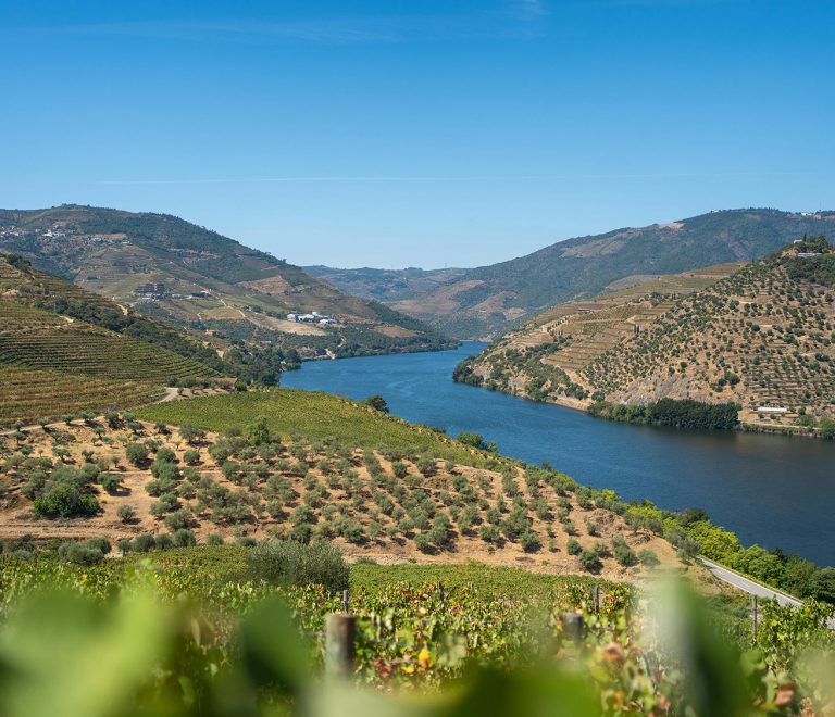 Descubra o Douro de forma autêntica